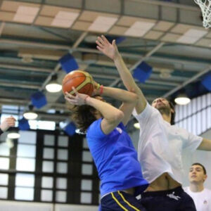 basket-2013